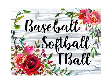 Baseball / Softball / T-Ball Shirts